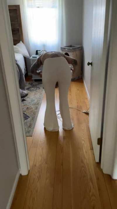 Daphne is pantsed while blow drying her hair.