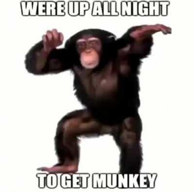 Were up all night to get monke caw caw