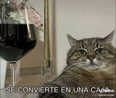 seksoplata (antiguo) cristiancito