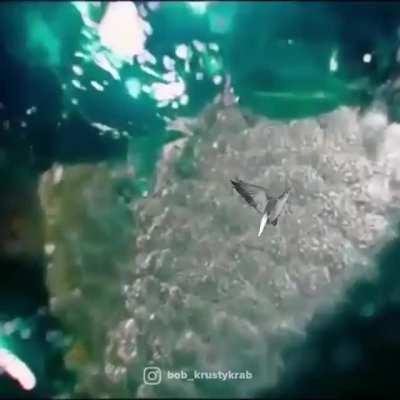 pwoli sambhavam mairu