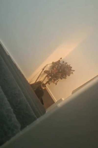 You still don't understand what you're dealing with, do you? The perfect organism. Its structural perfection is matched only by its hostility.