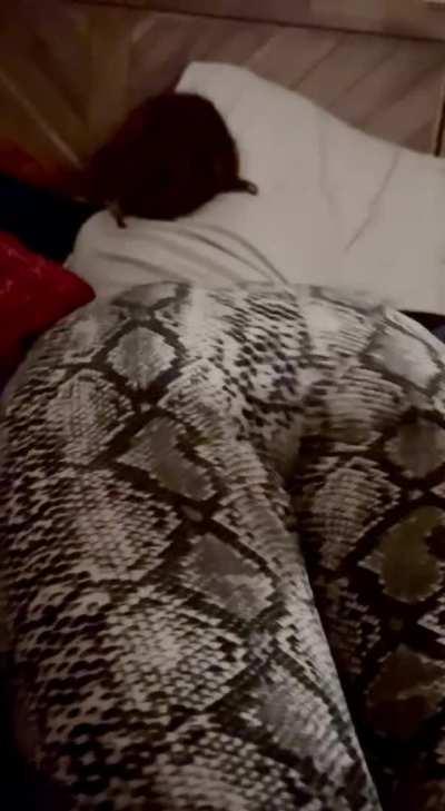 Someone approve my posts lol