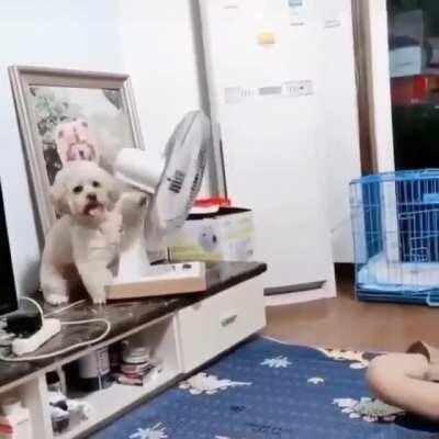 Играет музыка из 