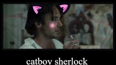 catboy sherlock is canon