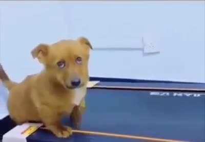 Home Workouts Be Like