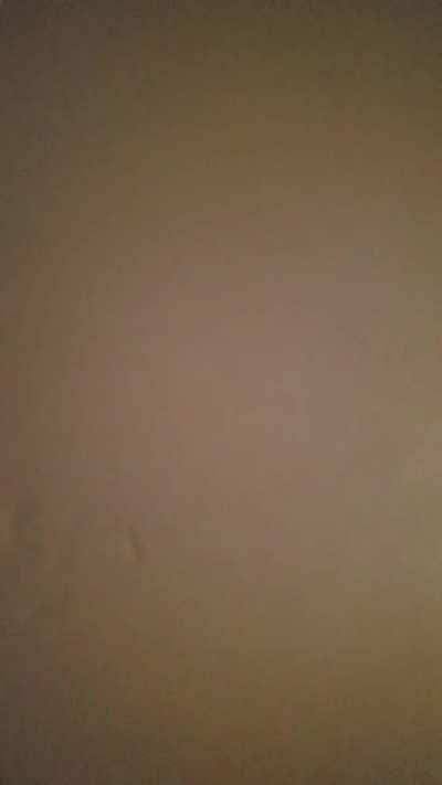 Poor thing just wants all the pets