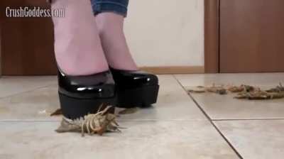 Rachel Crawdad Crush with Heels - Bug Crushed