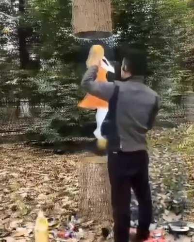 Ever heard of tree painting?