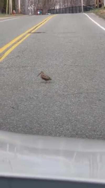 These protests are getting out of control