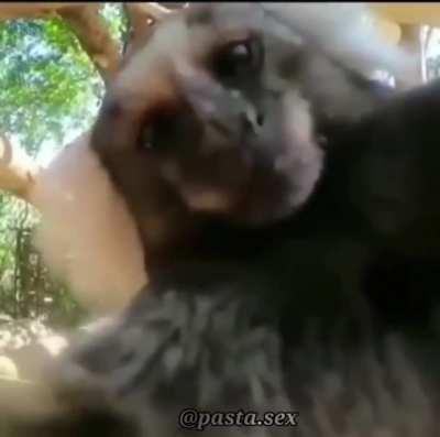 I reside on the west side