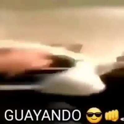 Guayando 😎