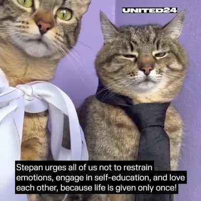 Stephan cat got married to Stephania! We wish this couple a journey as fun and joyful as their wedding day :)