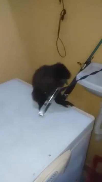 Muquinha no churras dos subs