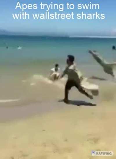 Apes trying to swim with wallstreet sharks