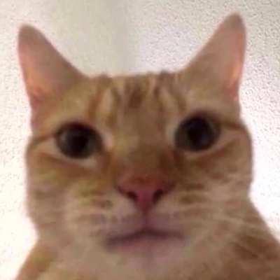 I'm going to kiss you