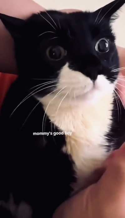 Loves to be hand-feed