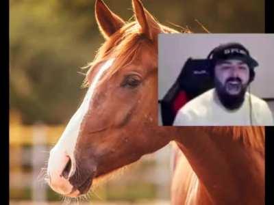 21st century BC humor