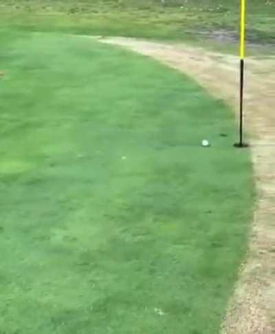 Pelota=AMLO, Hoyo=EL MEJOR PRESIDENTE QUE HA TENIDO MÉXICO