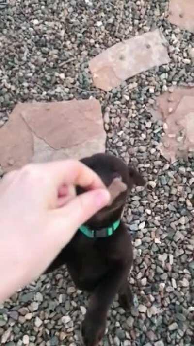 We’re working on it