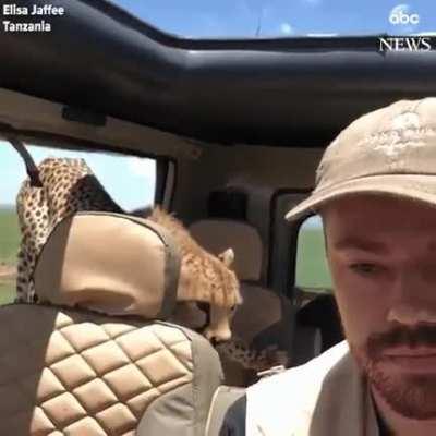 Out of sight out of mind