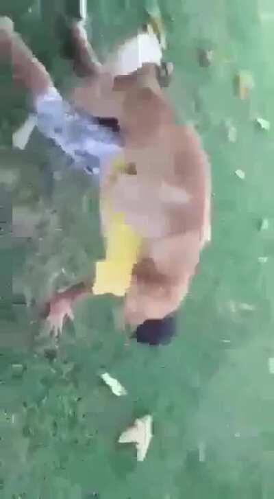 Acho que o Caramelo ama você também, pobre garoto