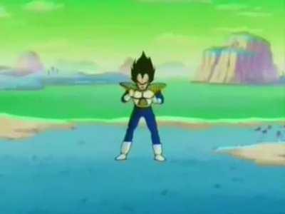 Beelce me gustaría que me dieras tu opinión sobre el Vegeta catalan