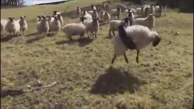 To get out of the tire swing