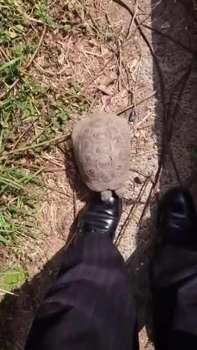 Stay out of my garden!