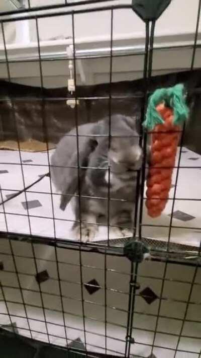 Addicted to yogurt drops