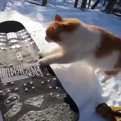 whats the song?? (ignore the video)