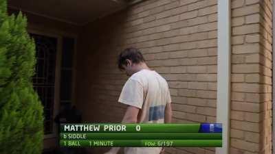 Recreating Peter Siddle's Birthday Hat Trick! Backyard Ashes