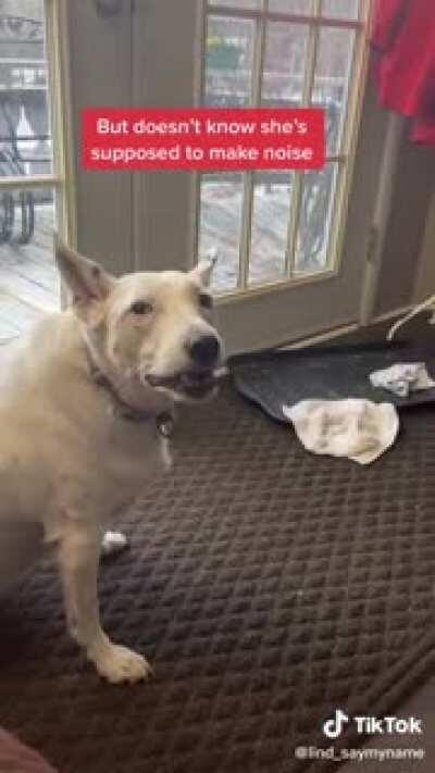 WCGR if I encourage a deaf good boy to bark