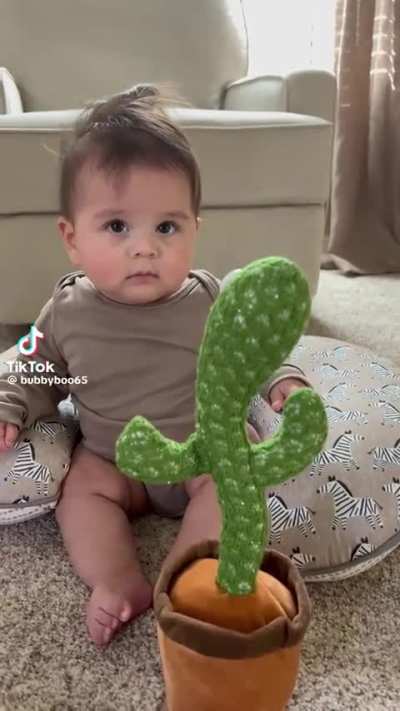 Enjoy this dancing cactus 