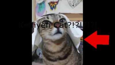 Muta-Cat 2.0 (Keffiyeh Cat !??!?!?!?!?!)