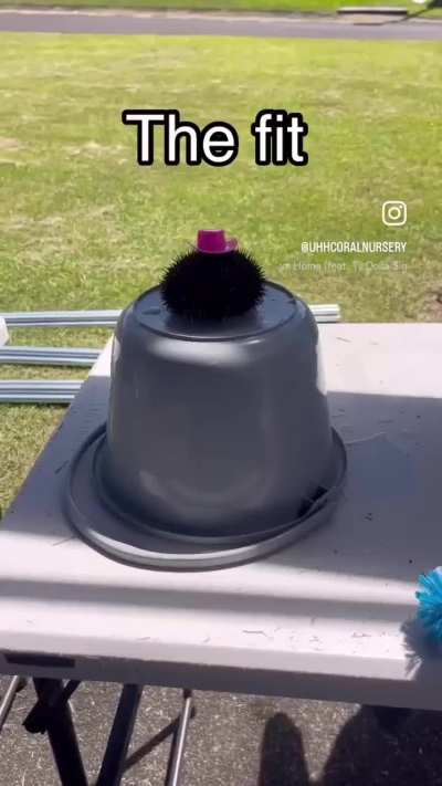 Wunkus has that shit ON!