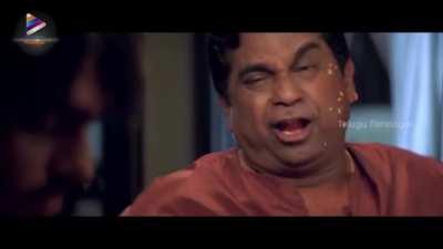 Me worried about my career,health,relationship. Meanwhile my dog at home