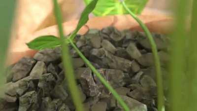 If someone asks me how a LSD trip feels like I send them this. Mandelbrot goes brrrrr