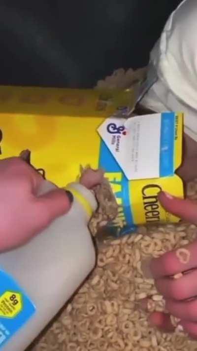 Thanks, I hate Cheerio Dahmer Footage…