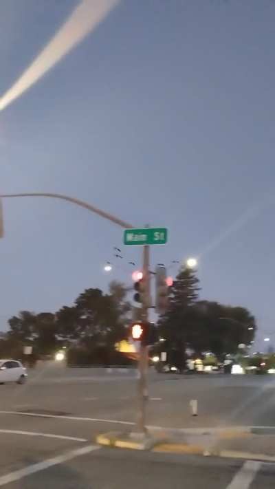 I got a tiny flock finally! Missed the big one though.