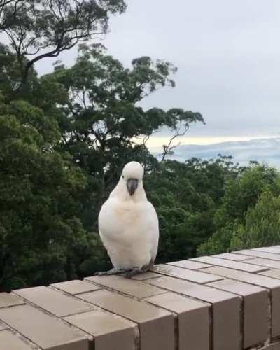 U WOOOOOOOOOOOOOT M888888888