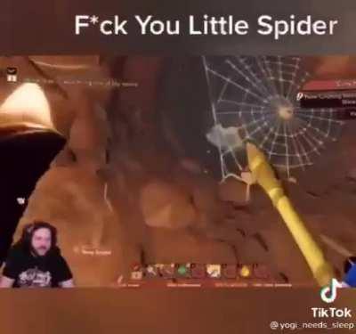 Damn that little spider in my way