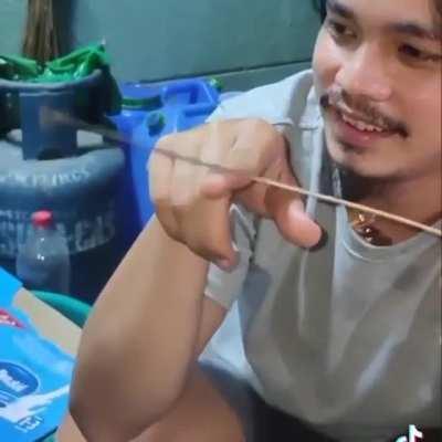 Паук против таракана