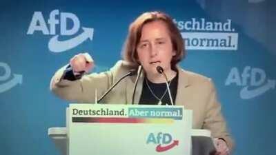 Drunter und drüber beim AfD Bundesparteitag