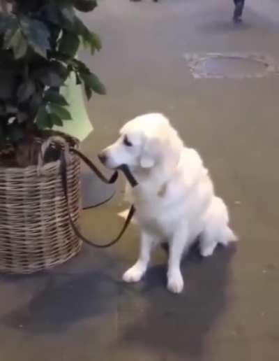 Looking after yourself