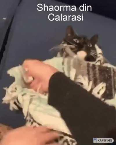 shaorma calarasi (e pasta medie)