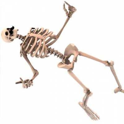 Dootdoot