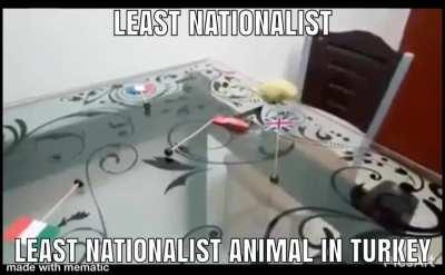 🇹🇷🇹🇷🇹🇷💪🏿🧔🏿