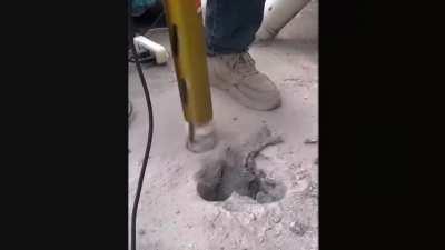 Cat enclosed in cement hole