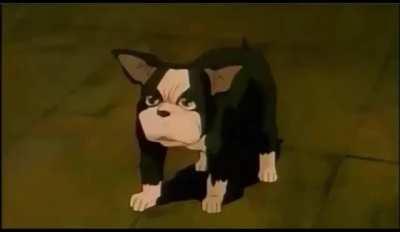 Iggy waits a few minutes and... Find out yourself