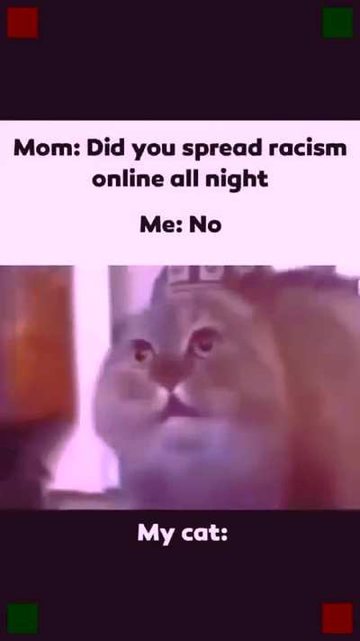 seguidores_de_lo_toad - Video #6756